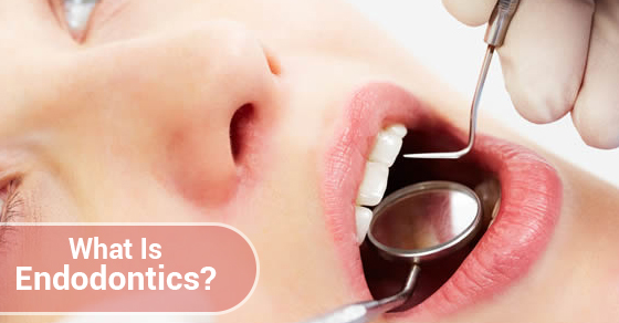 What Is Endodontics?